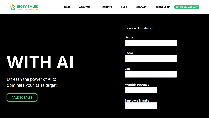 screenshot of Bigly Sales's website