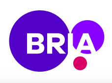 Thumbnail showing the Logo and a Screenshot of BRIA AI