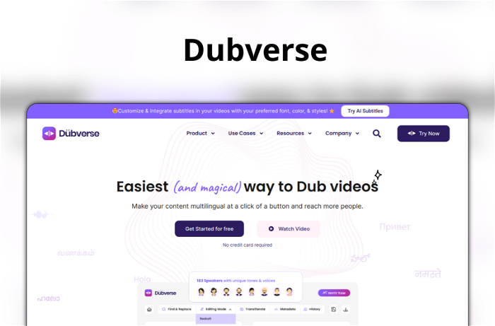 Dubverse Thumbnail, showing the homepage and logo of the tool
