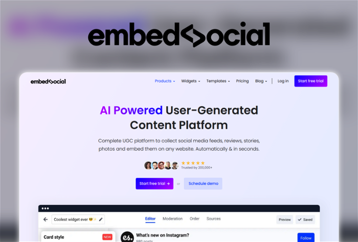EmbedSocial Thumbnail, showing the homepage and logo of the tool