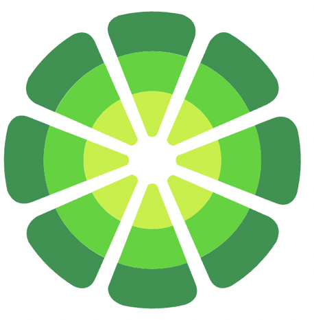 Icon showing logo of Limewire