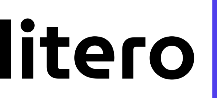 Icon showing the logo of Litero.ai