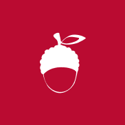 Icon showing logo of Lychee
