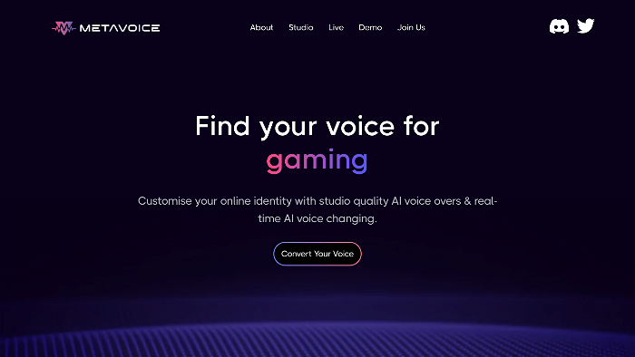 Screenshot of Metavoice's website.