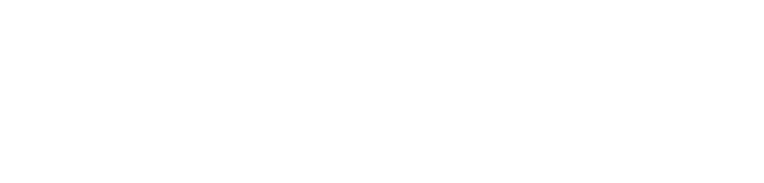 Icon showing the logo of Naratix AI