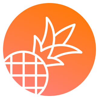 Icon showing logo of Pineapple Builder