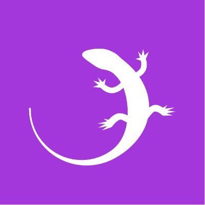 Icon showing logo of Quizgecko