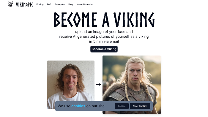 screenshot of VikingPic's website