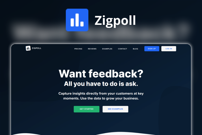 Zigpoll Thumbnail, showing the homepage and logo of the tool